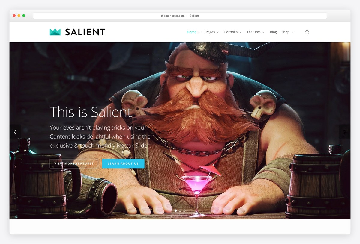 Salient WordPress theme demo with the Nectar slider
