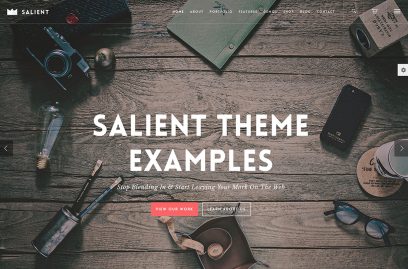 Salient Website Examples