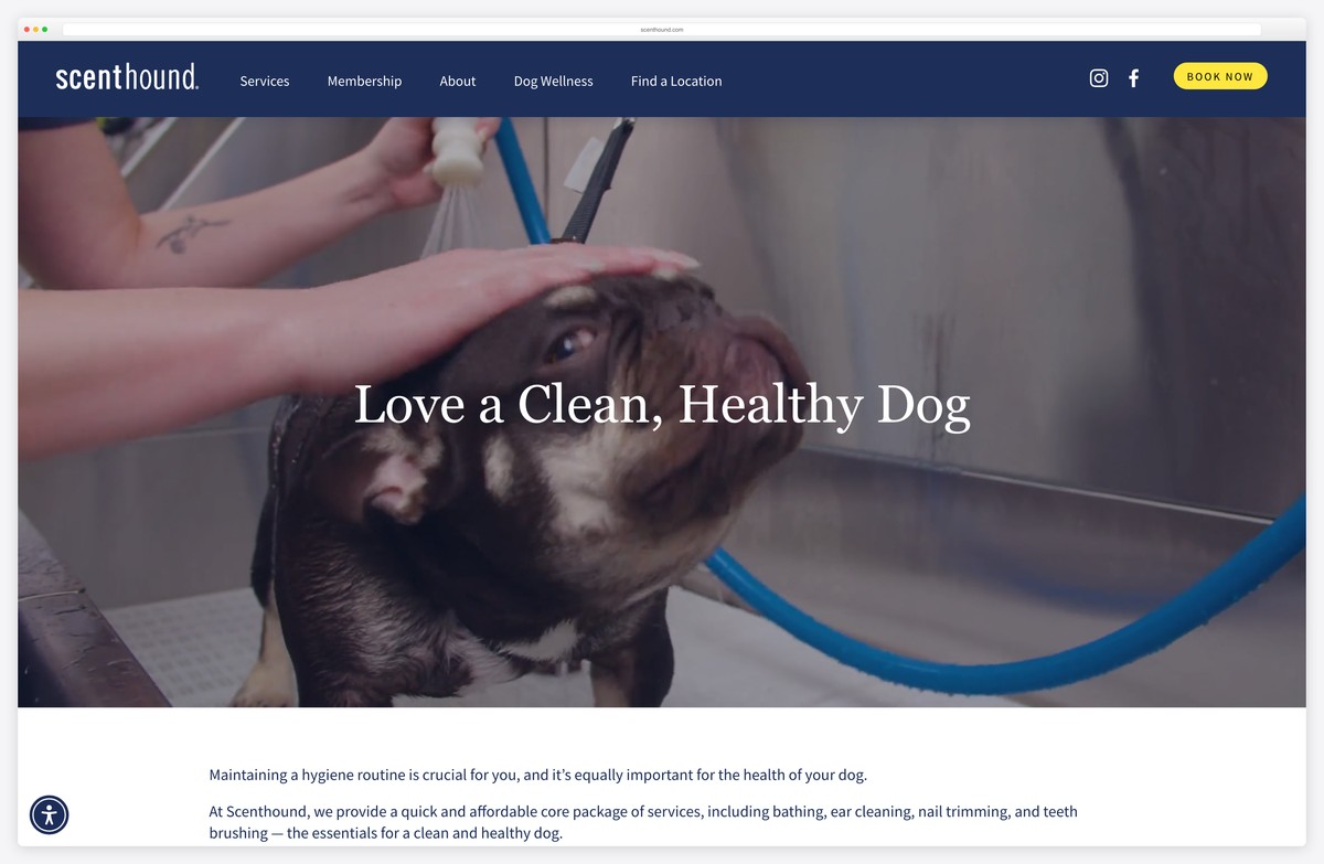 scenthound dog grooming franchise website example