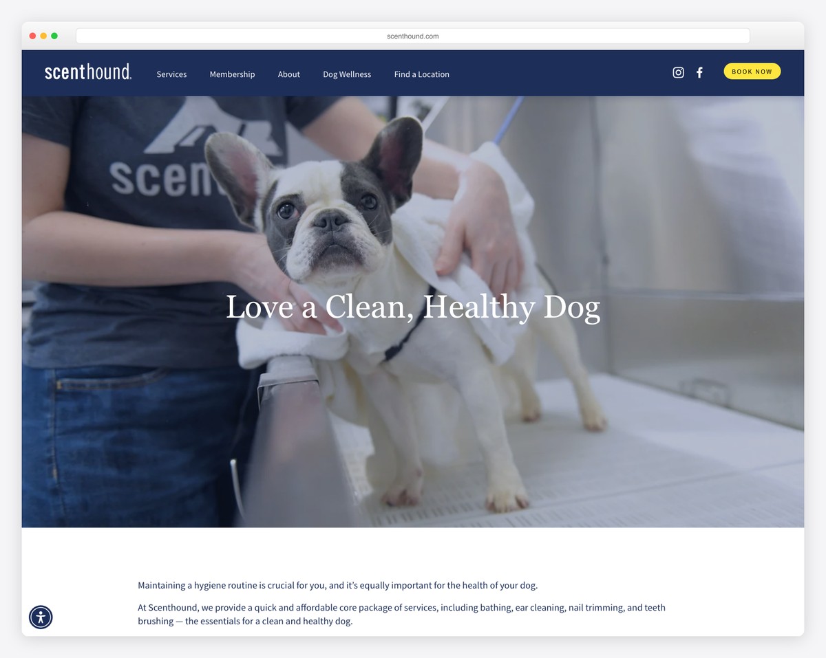 scenthound pet grooming website