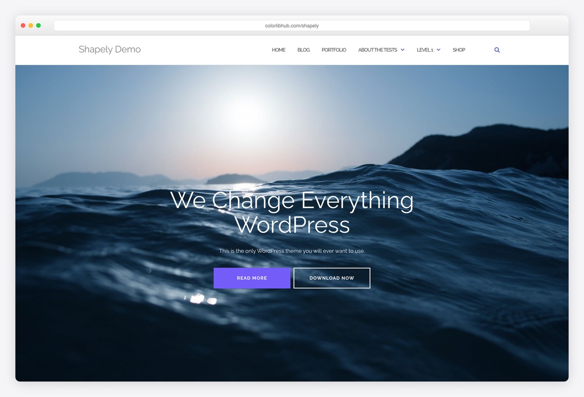 Shapely free one-page WordPress theme demo by Colorlib