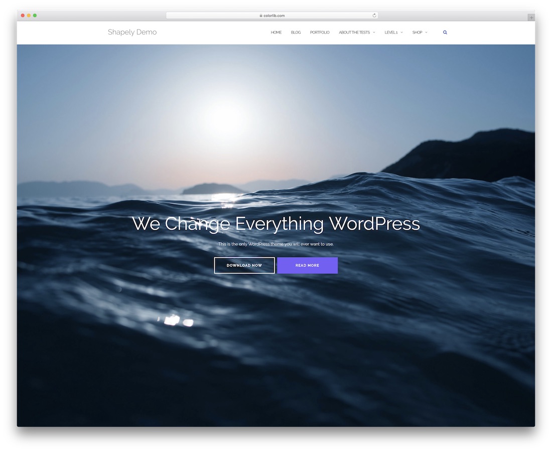 shapely free website template