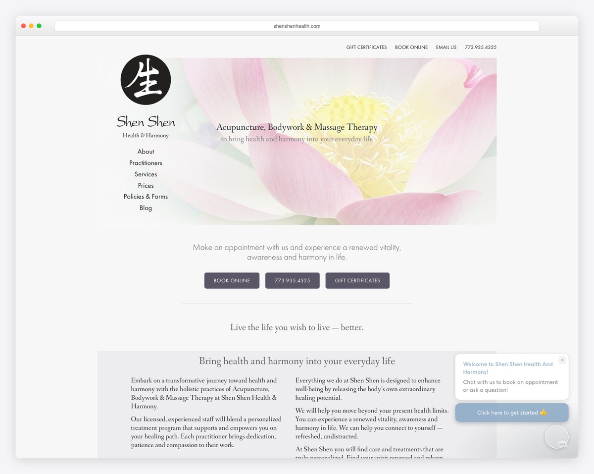 shen shen health & harmony website example