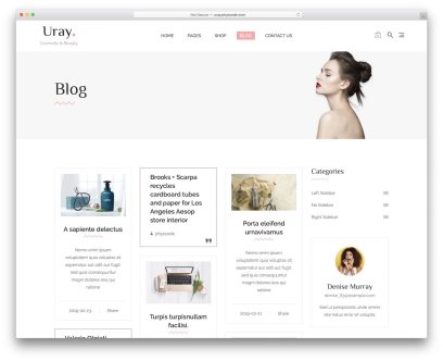 Shopify Blog Themes