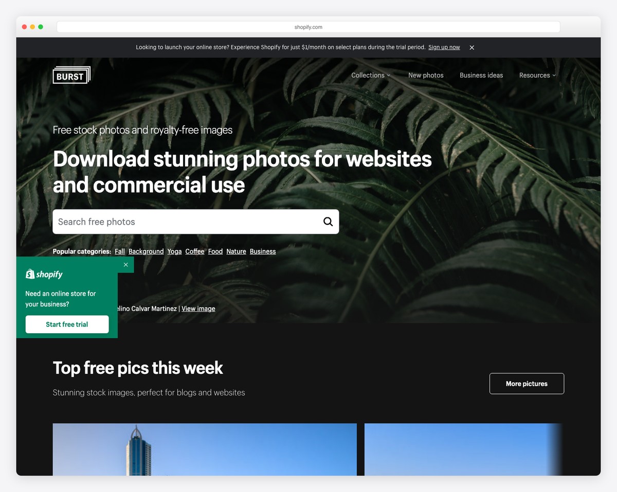 Shopify Free Stock Photos