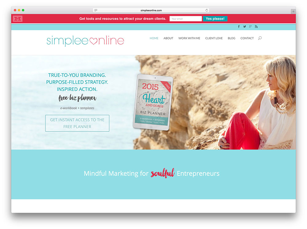 simpleeonline-marketing-expert-website-divi