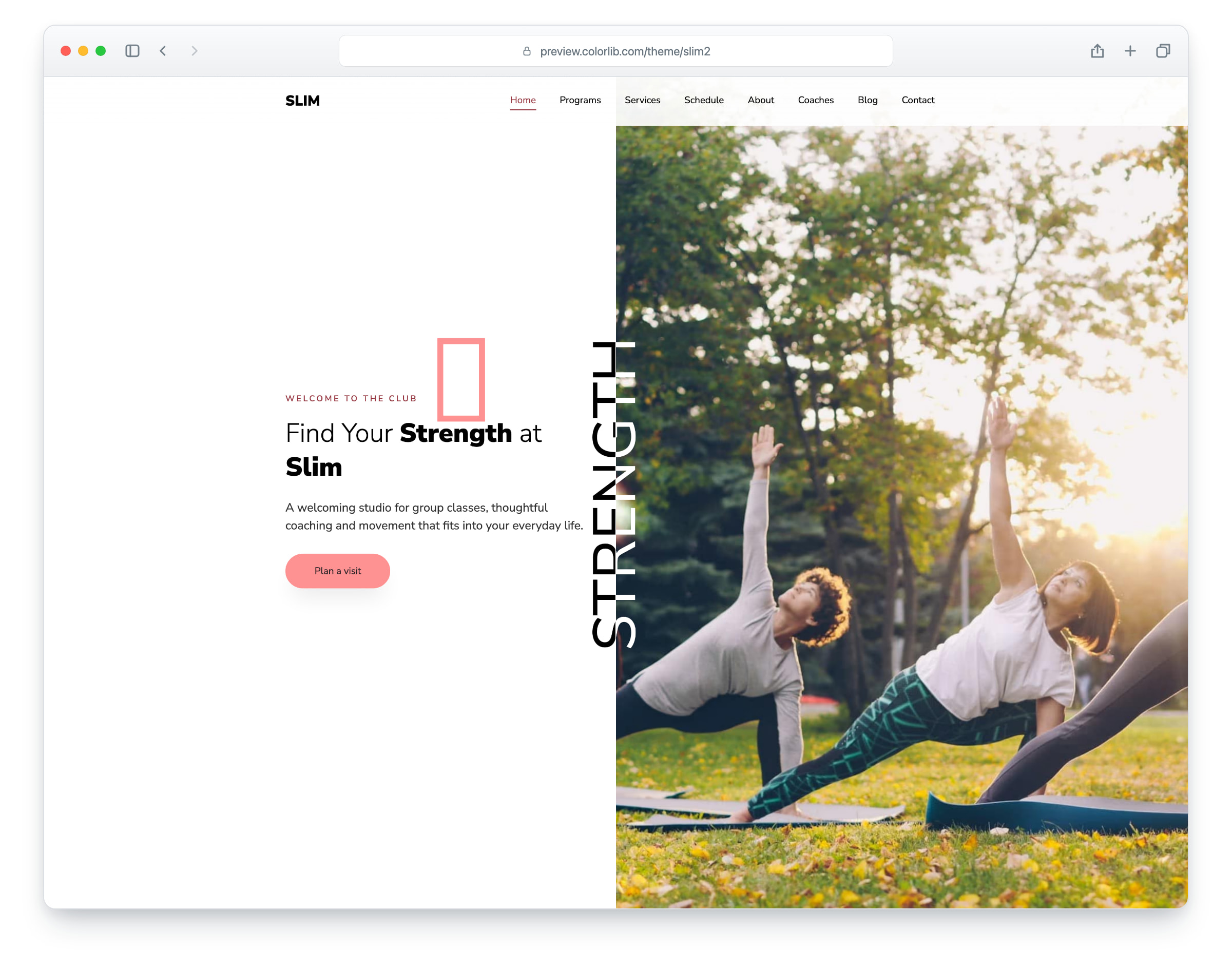 Slim2 website template