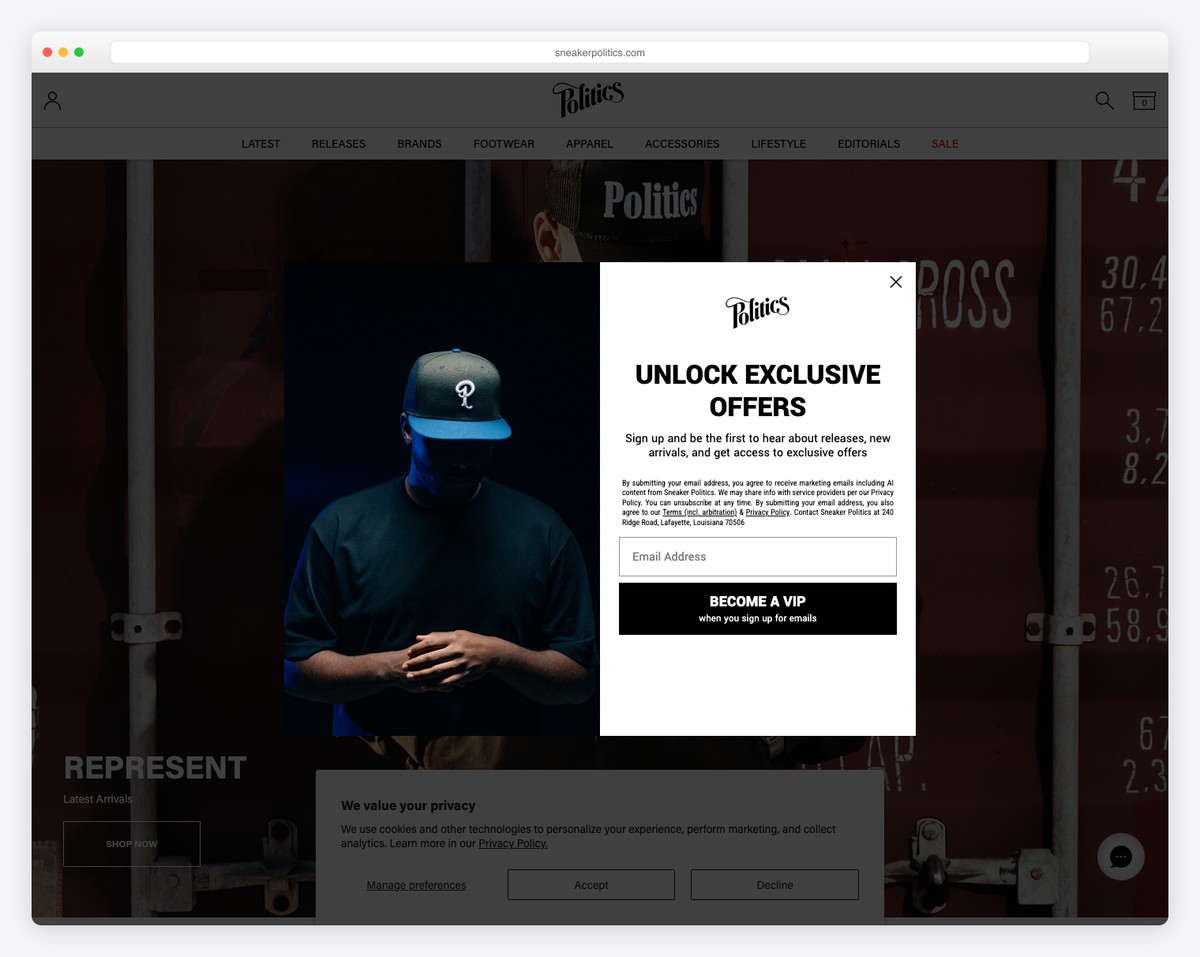 sneaker politics bluehost website example