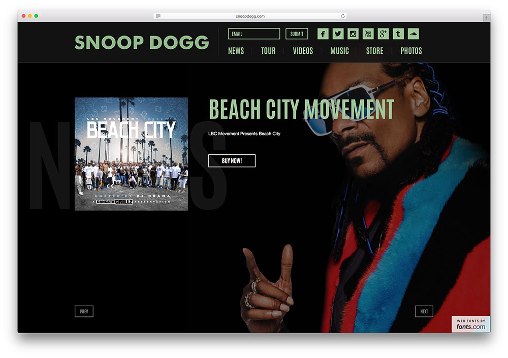 snoopdogg-hip-hop-artist-website-using-wordpress