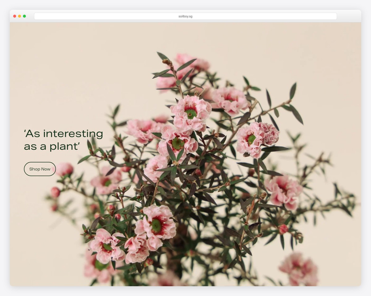 soilboy simple website example