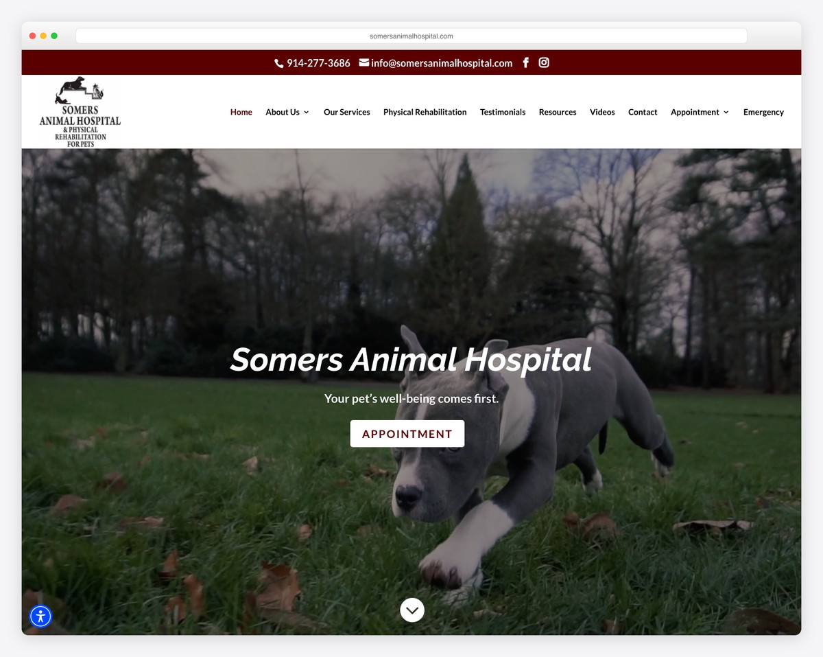 Somers Animal Hospital