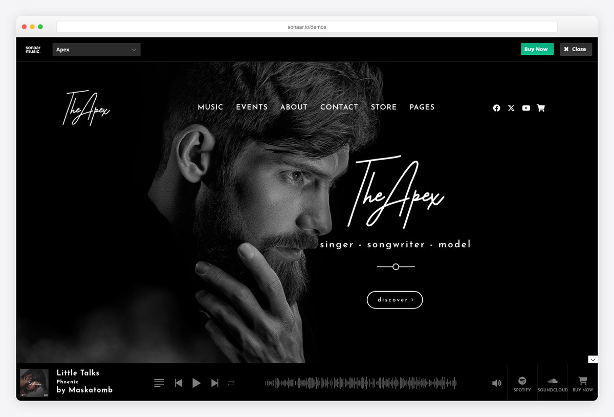 Sonaar premium music WordPress theme demo with a continuous audio player