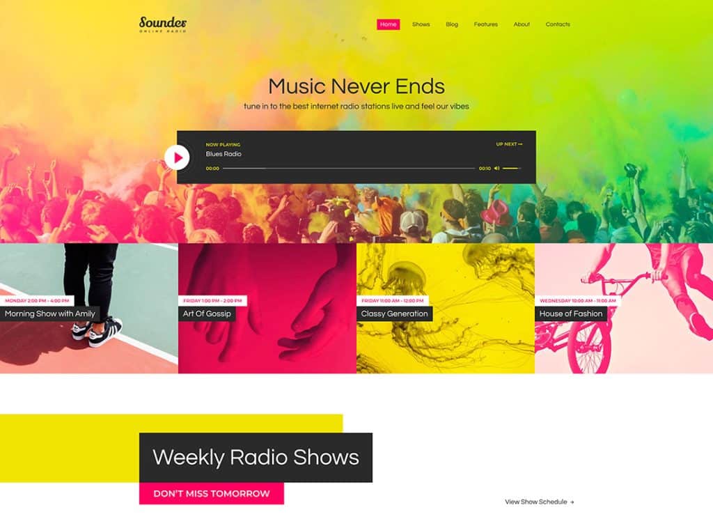 Sounder - Online Internet Radio Station WordPress Theme