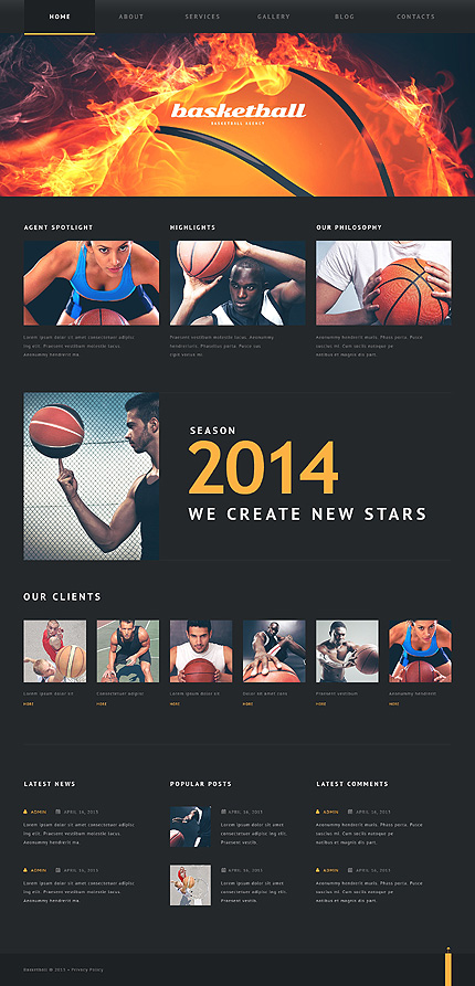 Put Basketball on Fire Tema WordPress