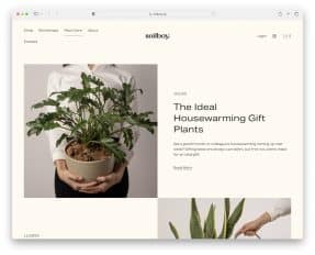 squarespace blogs examples