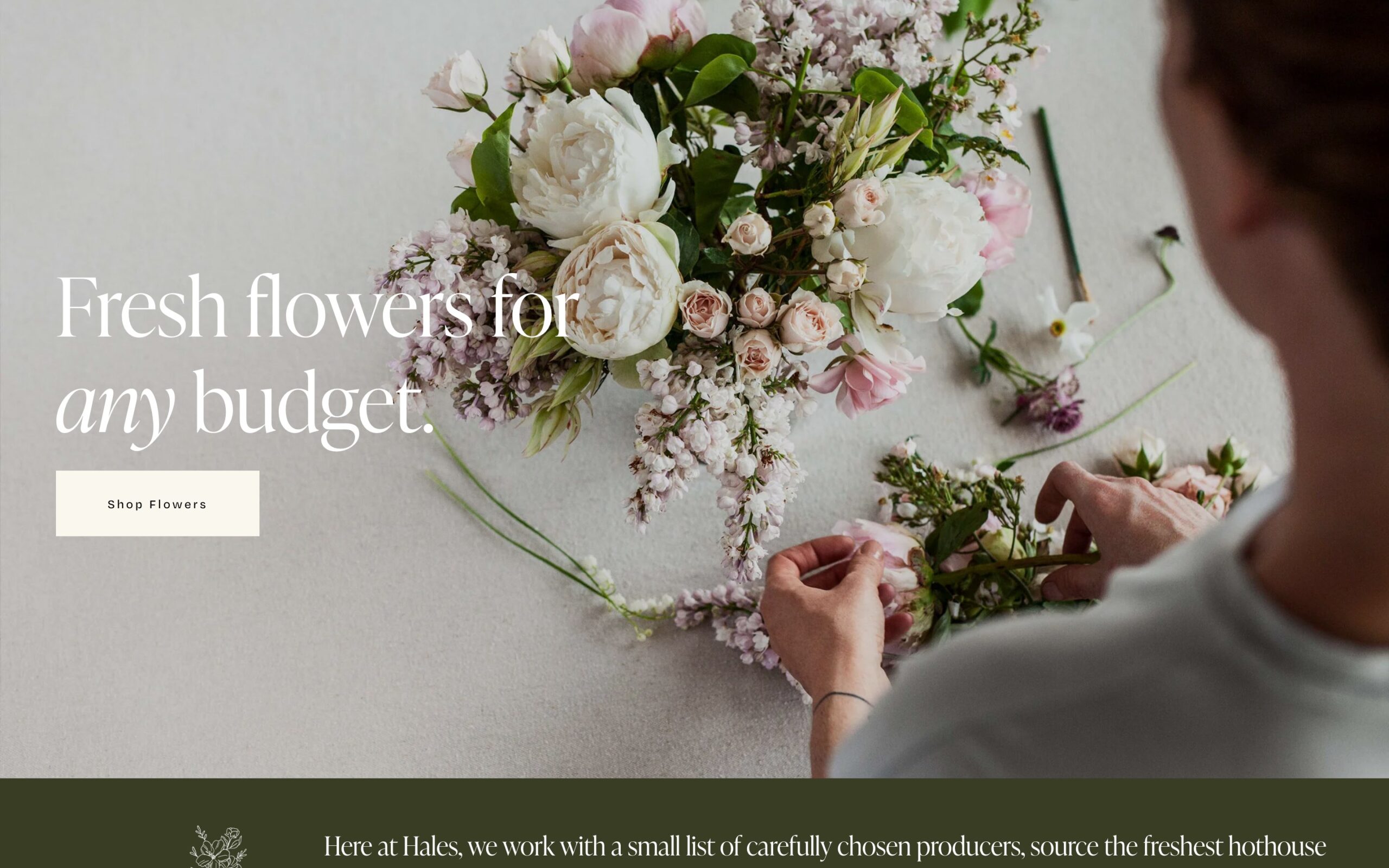 Hales website template for Squarespace