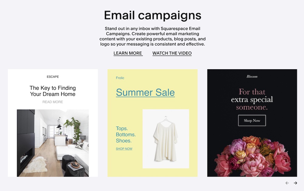 email newsletter templates for Squarespace
