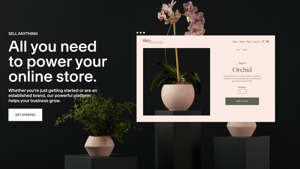 Online store example using Squarespace 
