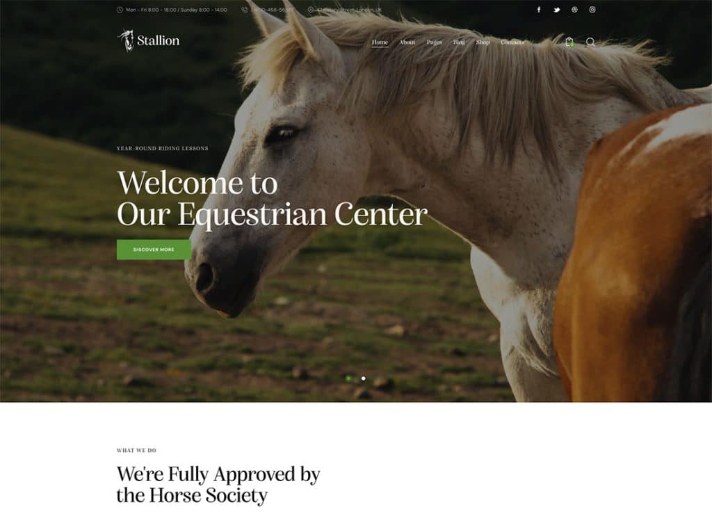 Stallion - Equestrian Club and Horse Riding School WordPess Theme