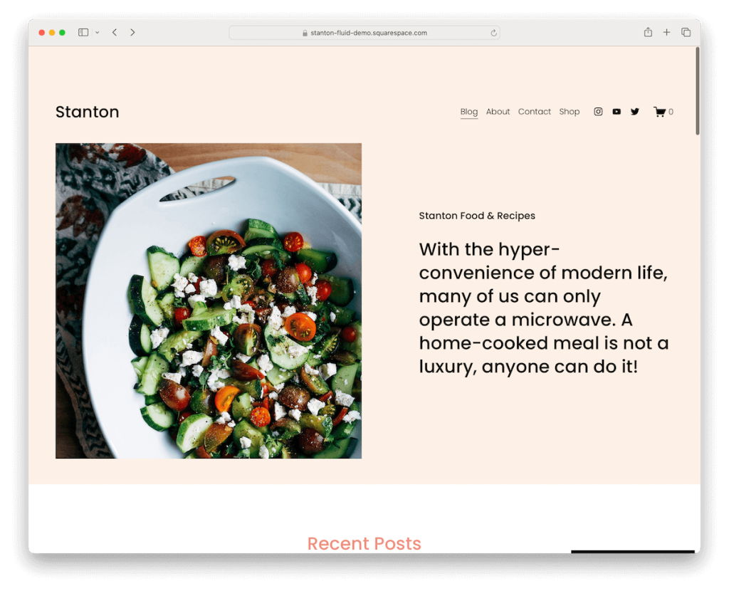 stanton squarespace lifestyle template