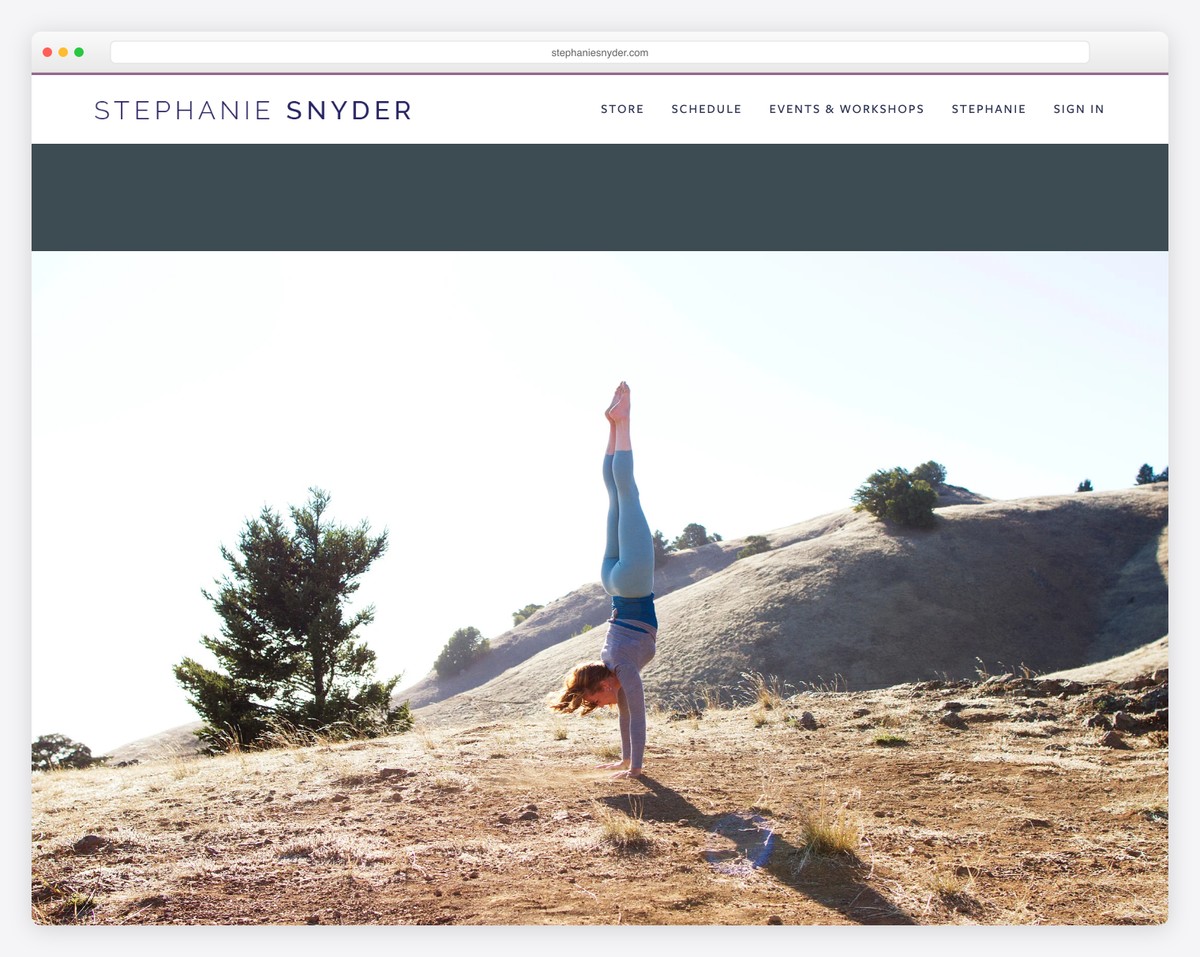 stephanie snyder website example