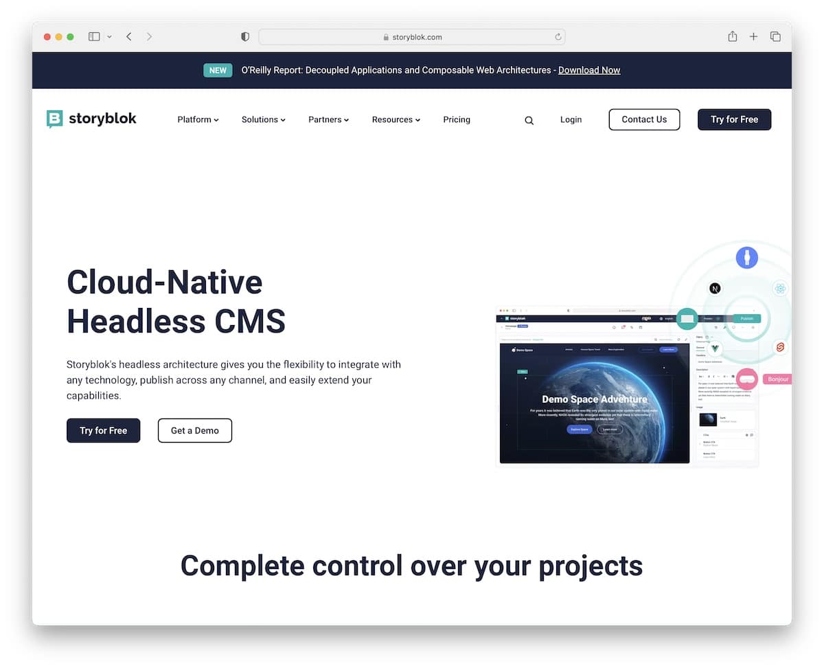 storyblok headless cms