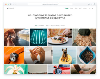 Sunzine website template