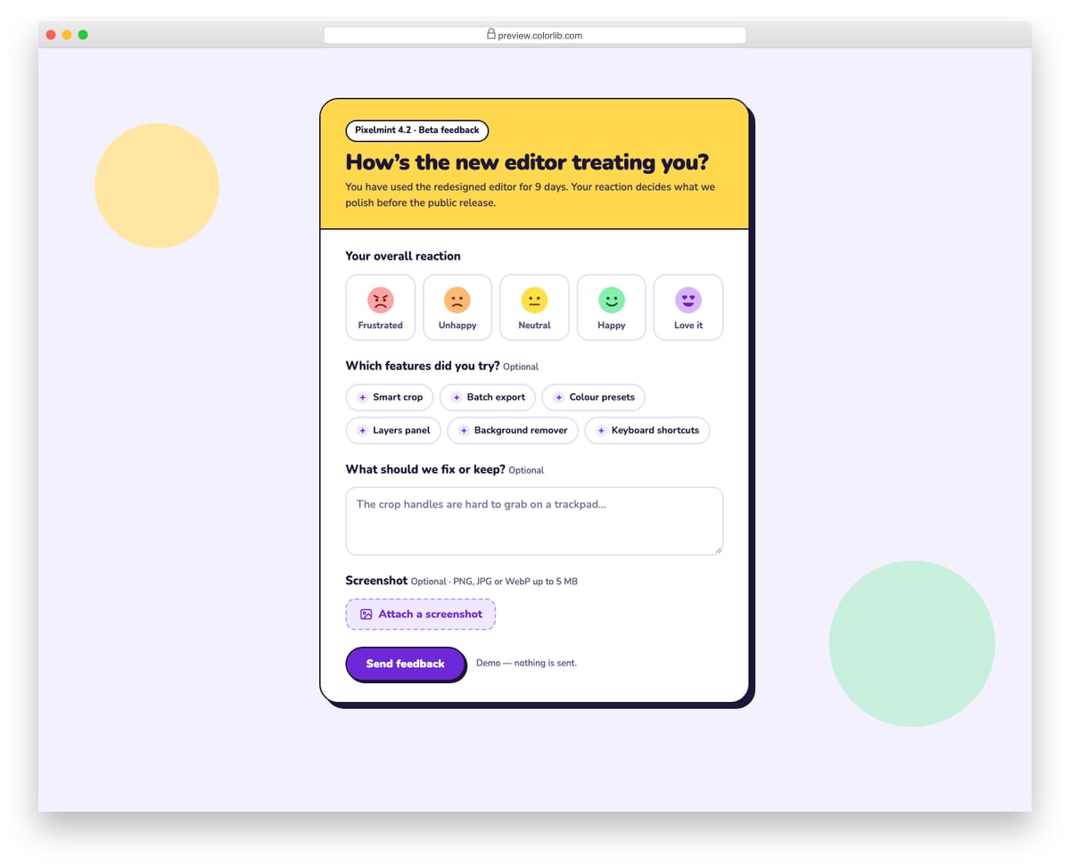 Survey Form V04: product feedback form with emoji reaction scale, feature checkboxes and screenshot upload