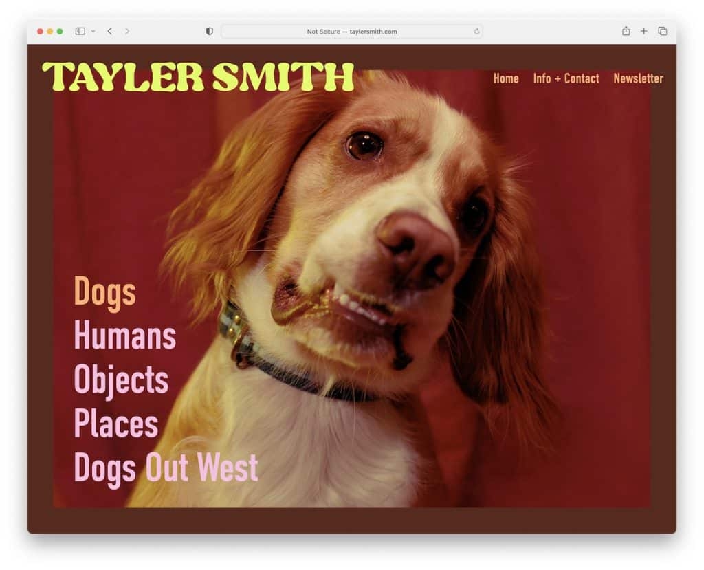 tayler smith squarespace photography example