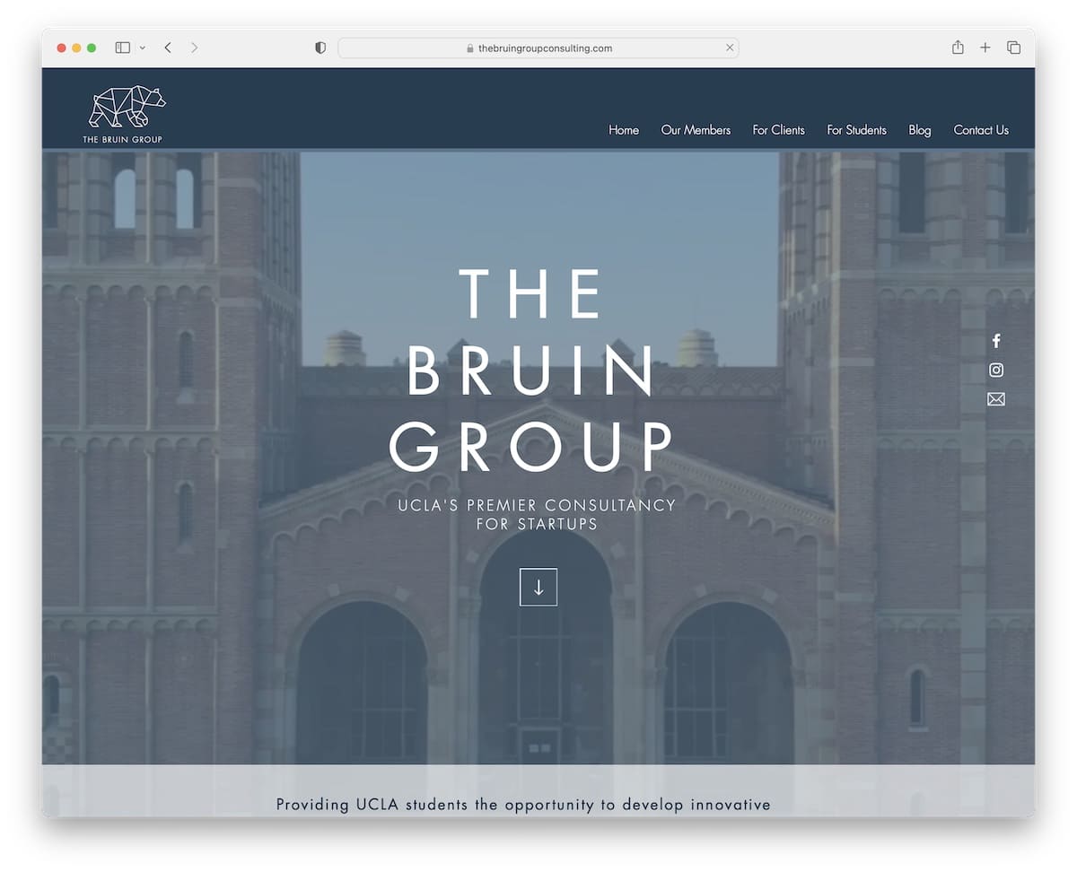 the bruin group consulting website