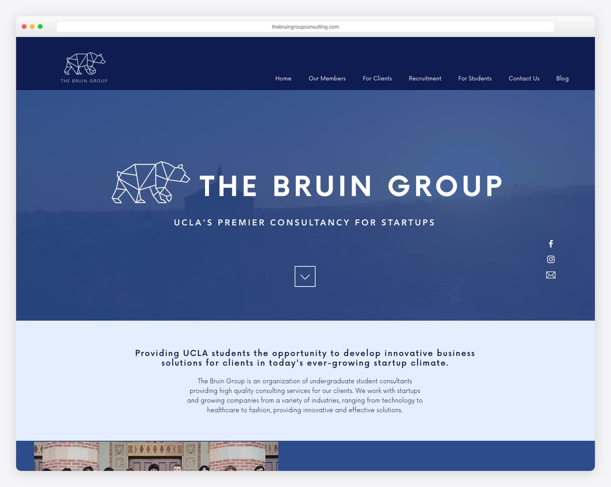 the bruin group consulting website