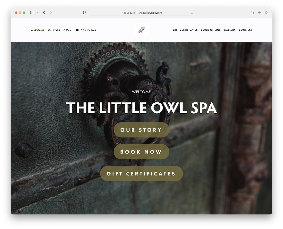 the little owl spa website