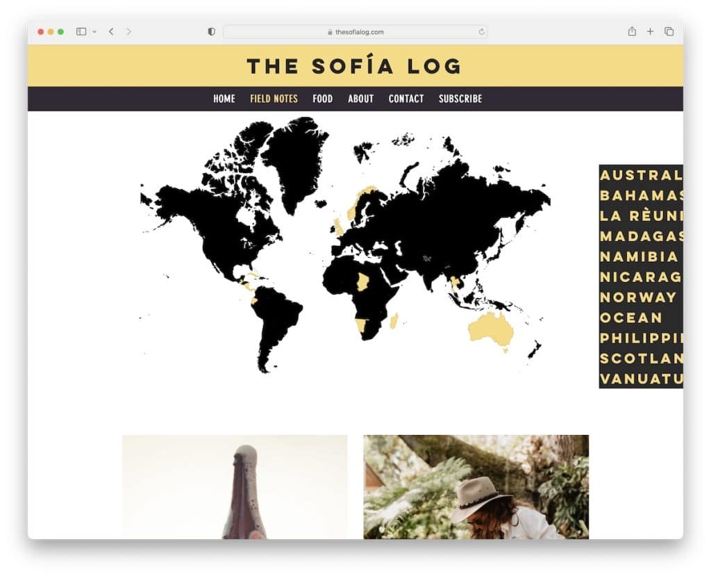 the sofia log wix blog example