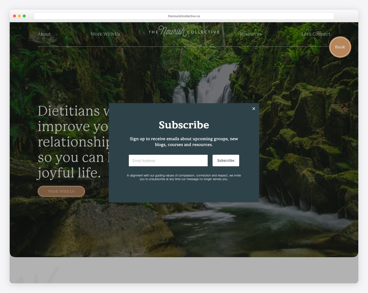 the nourish collective website example