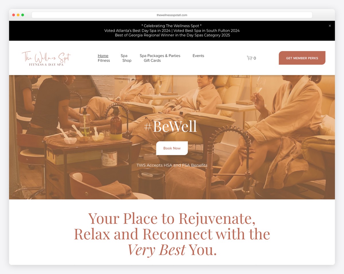 the wellness spot website example