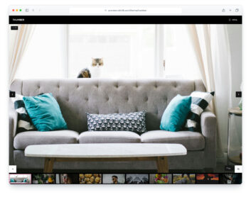 Thumber website template