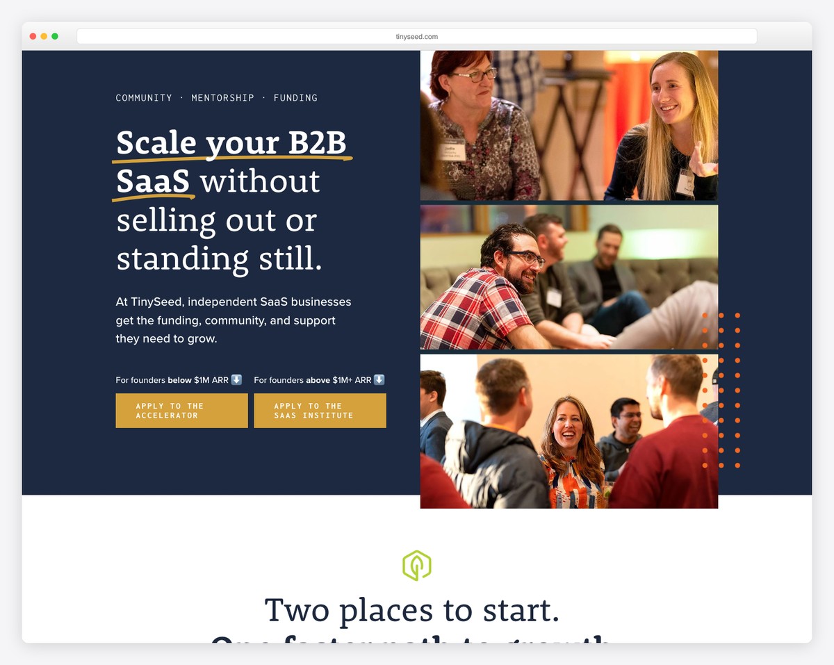 tinyseed startup website