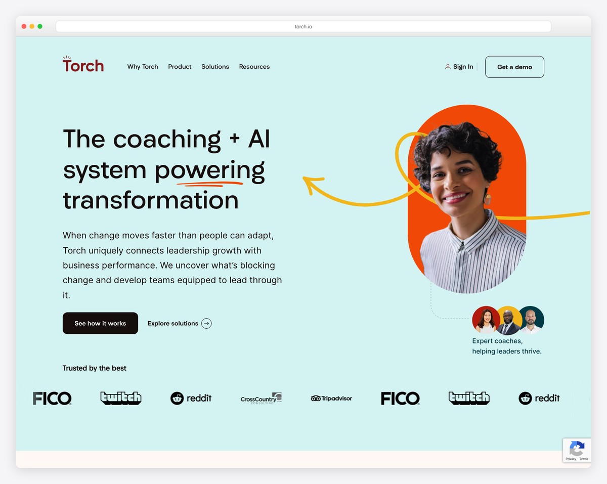 torch website example