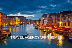travel agency wordpress themes