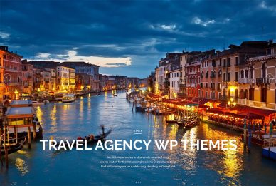 travel agency wordpress themes