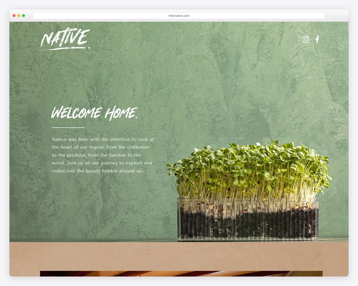 native website example