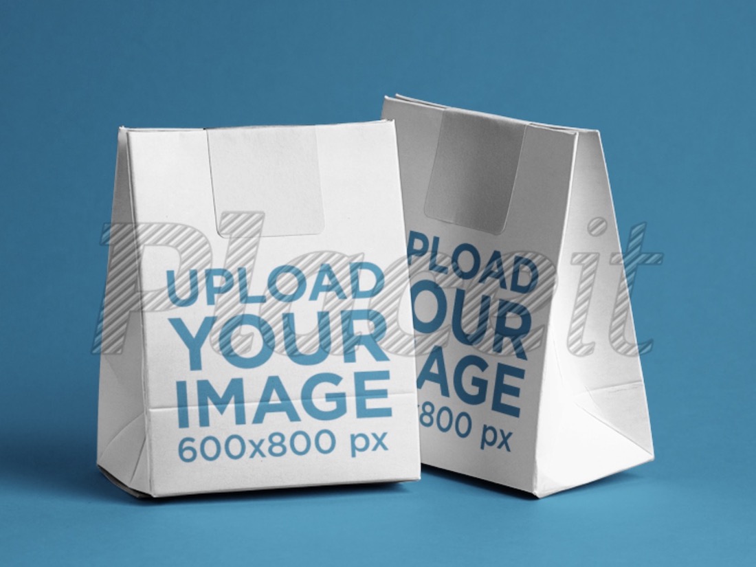 two paper bags mockup