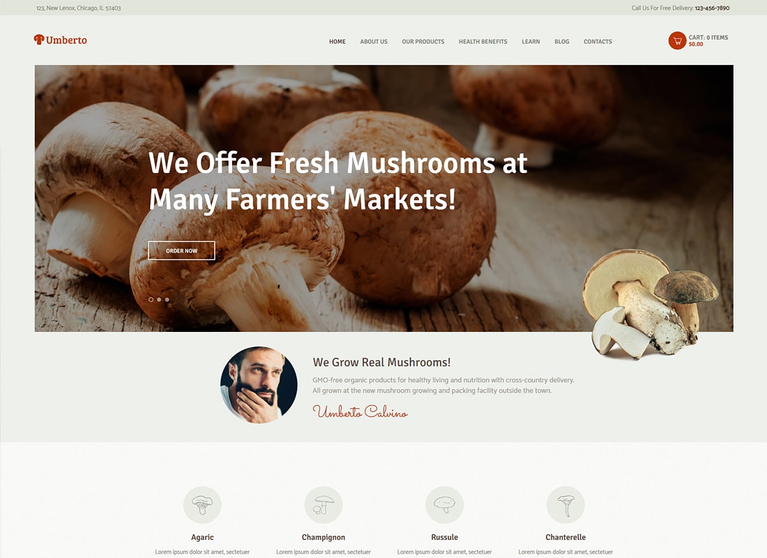 움베르토 | 버섯 농장 및 유기농 제품 매장 WordPress 테마