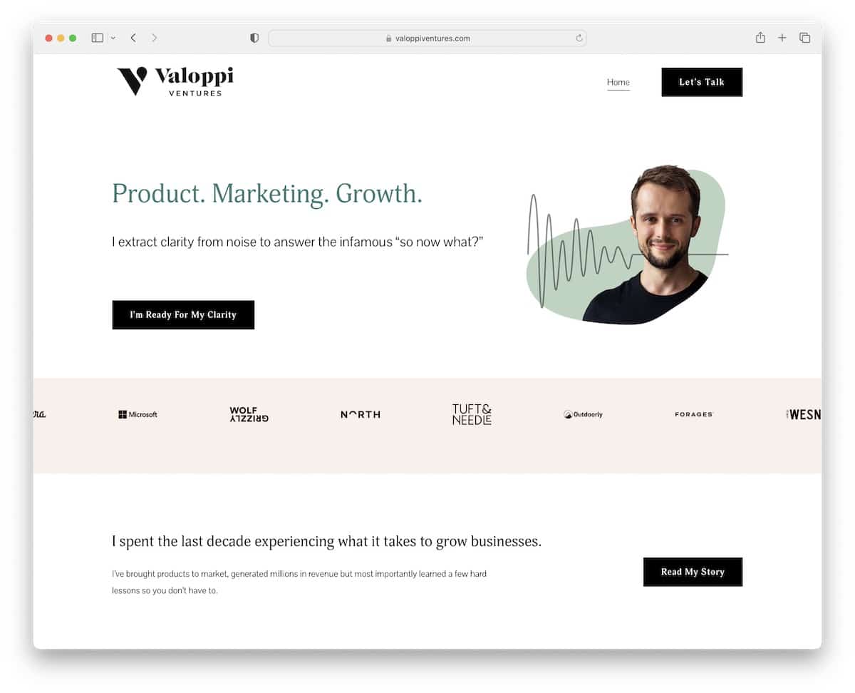 valoppi ventures consulting website