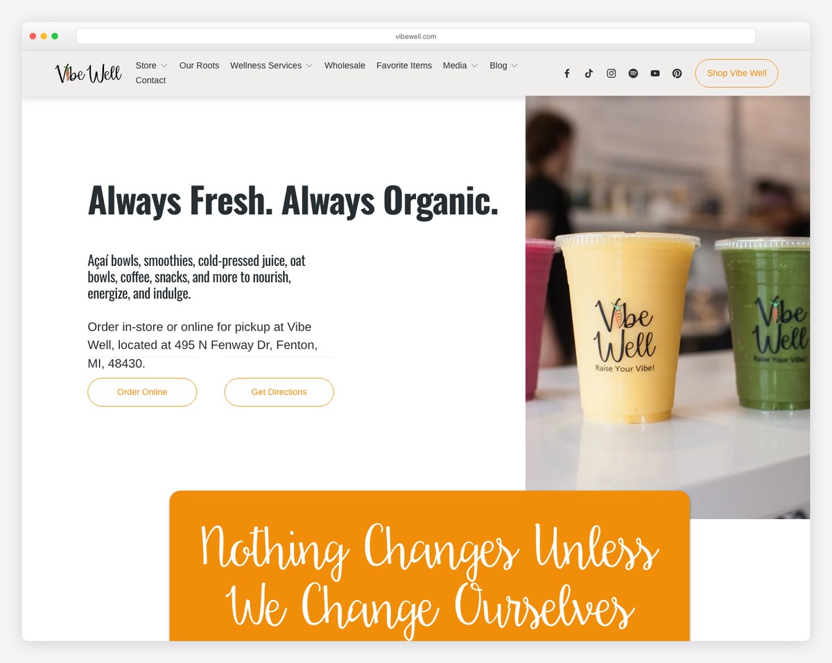 vibe well website example