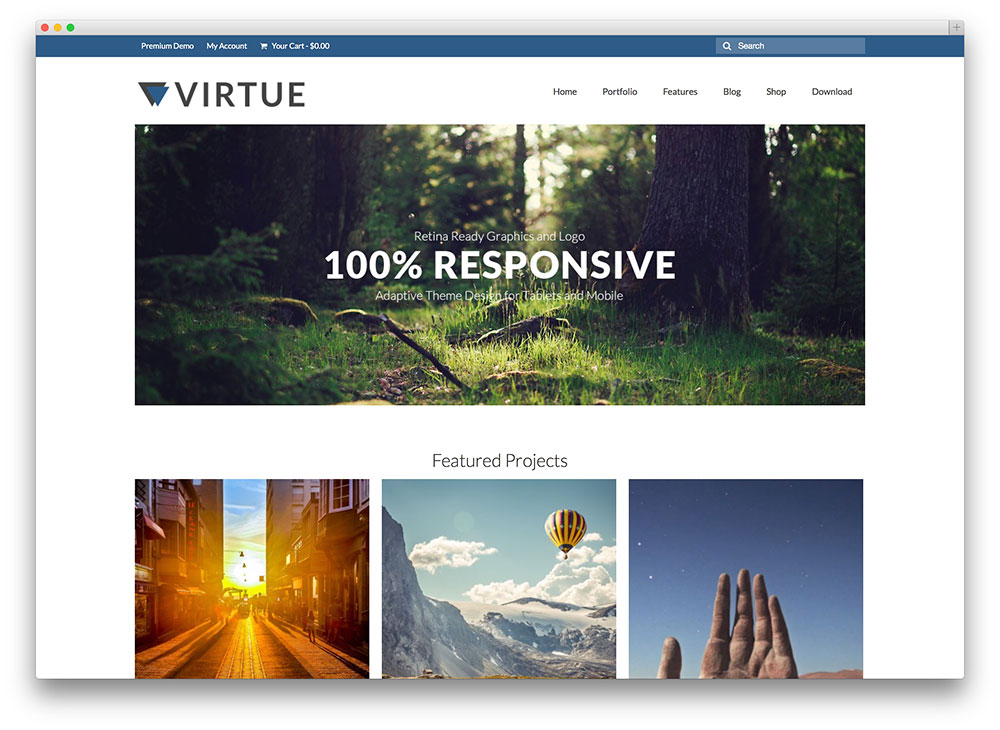 virtue - professional WordPress business theme