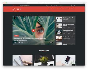 Vizew website template