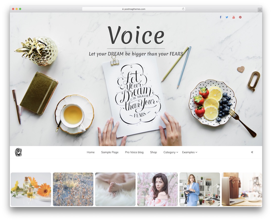 voice blog free wordpress themes