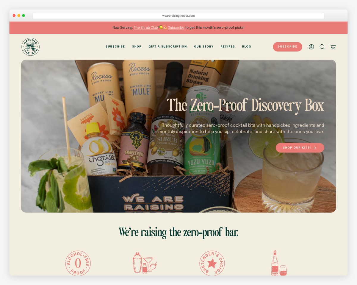 we are raising the bar website example