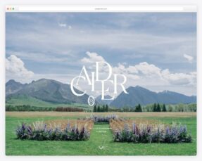 Wedding planner website examples
